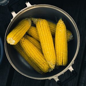 Corn In Pot